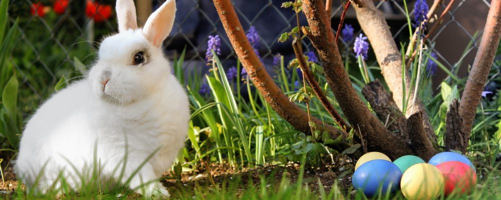 Eventi di Pasqua e Pasquetta a Milano