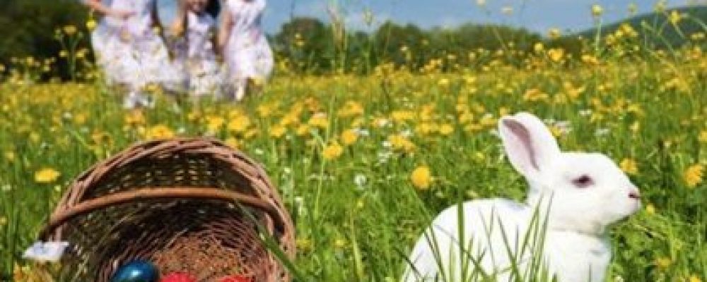 7 motivi del perchè scegliere di festeggiare Pasqua in Agriturismo