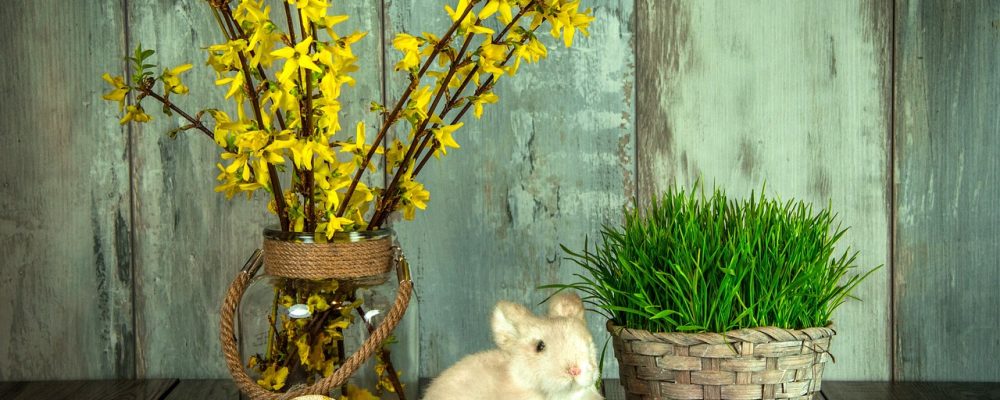 Dolci pasquali milanesi tradizionali da provare
