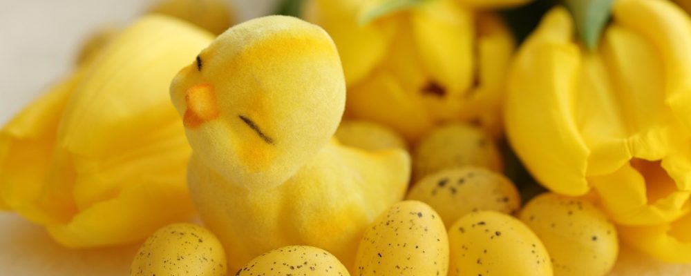 Menu di asporto a Milano per la Pasqua